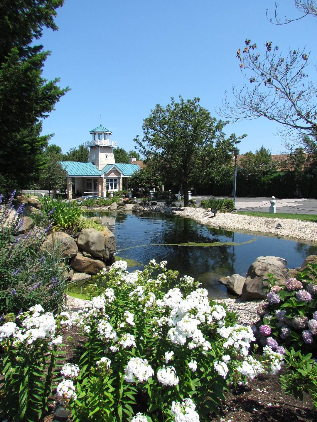 Residential The Hamlet on Olde Oyster Bay Fields of Green