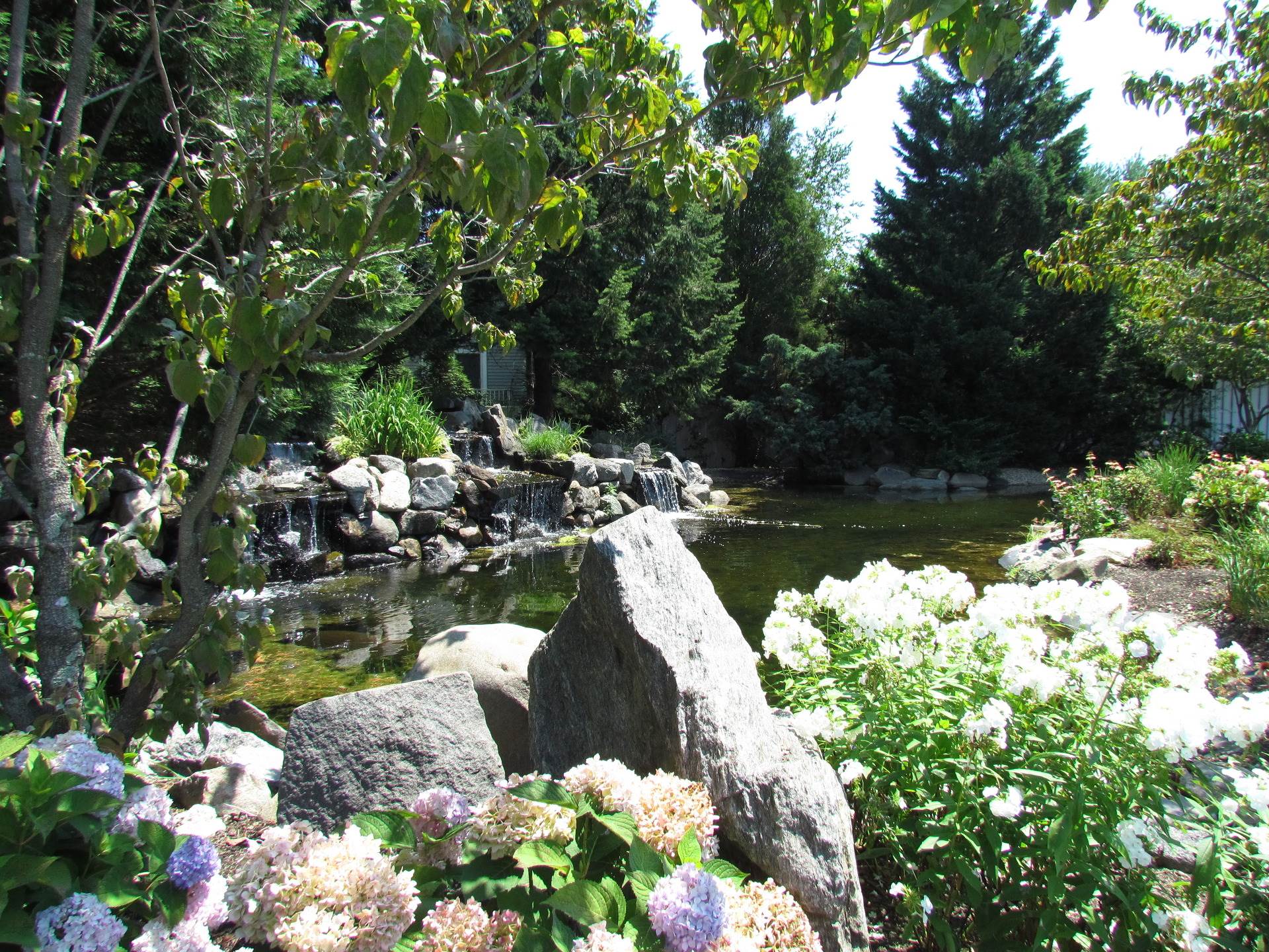 Residential The Hamlet on Olde Oyster Bay Fields of Green