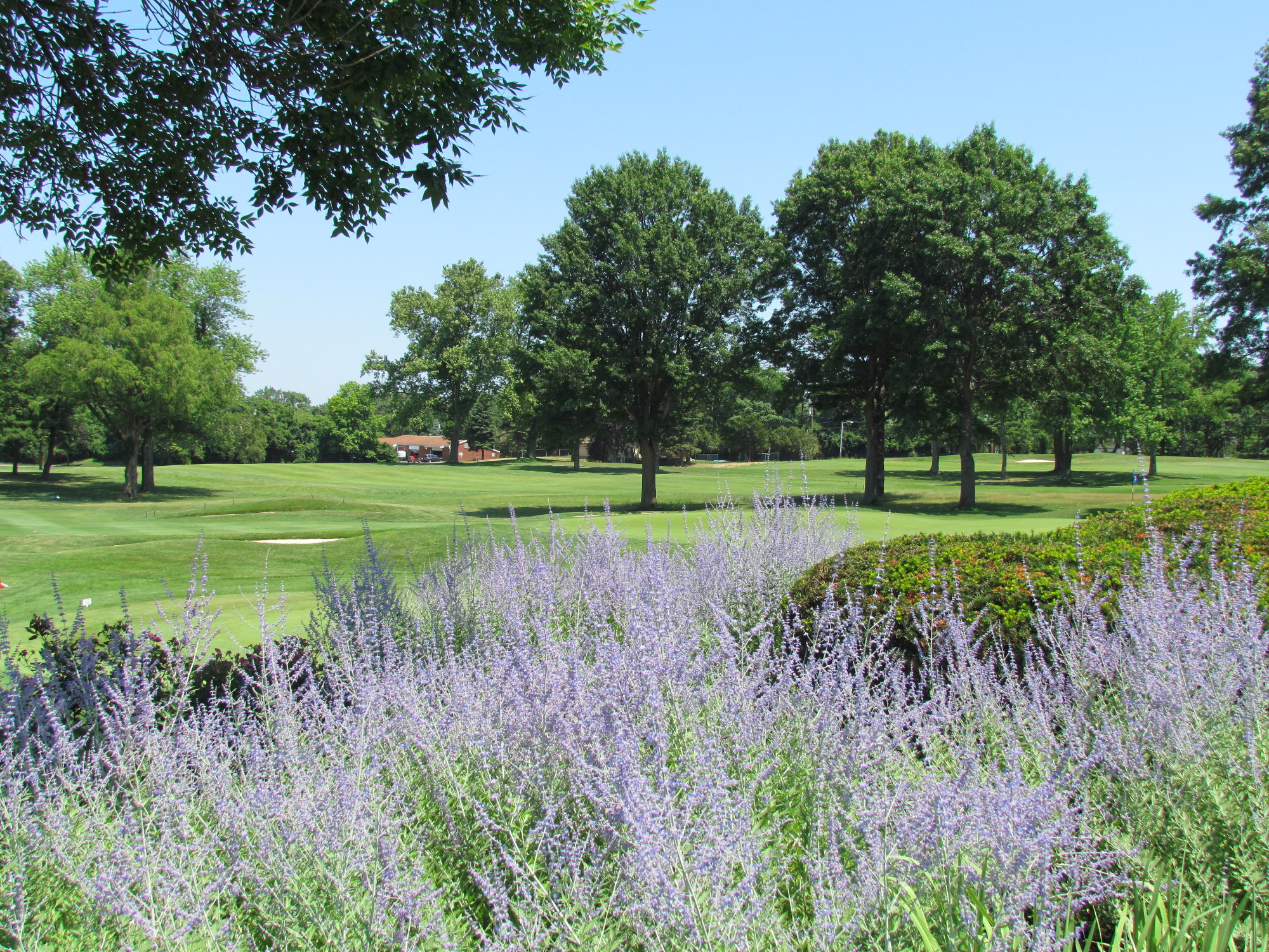 The Inc. Village of Lake Success Fields of Green