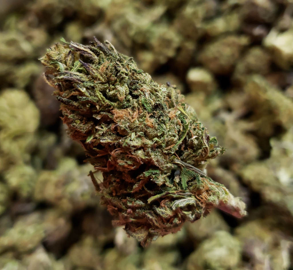 Sour Space Candy Hemp Sour Space Candy Hemp Flower June Special