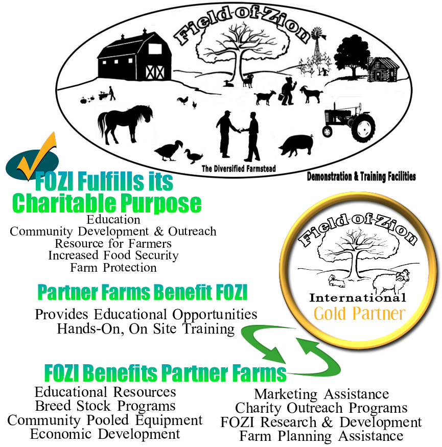 Community Development Fields Of Zion International