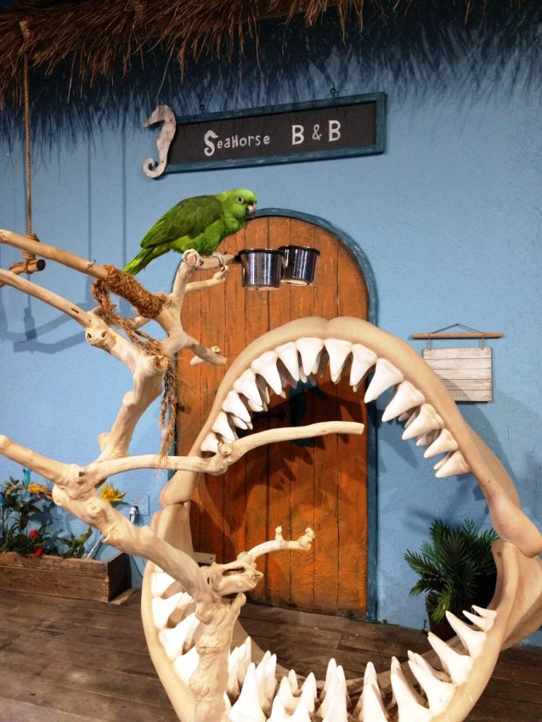 Field Trip to an Interactive Aquarium SeaQuest in Fort Worth, TX