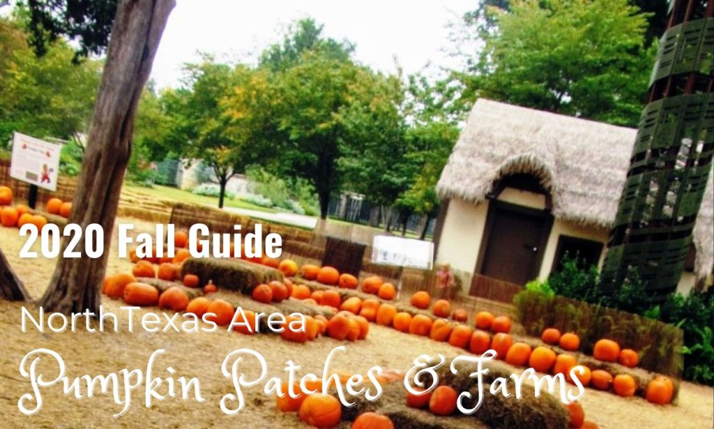 Pumpkin Patches & Farms North Texas (Fall 2020) Field Trip Texas