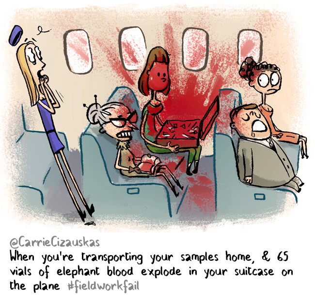 Blood on a Plane FieldWorkFail