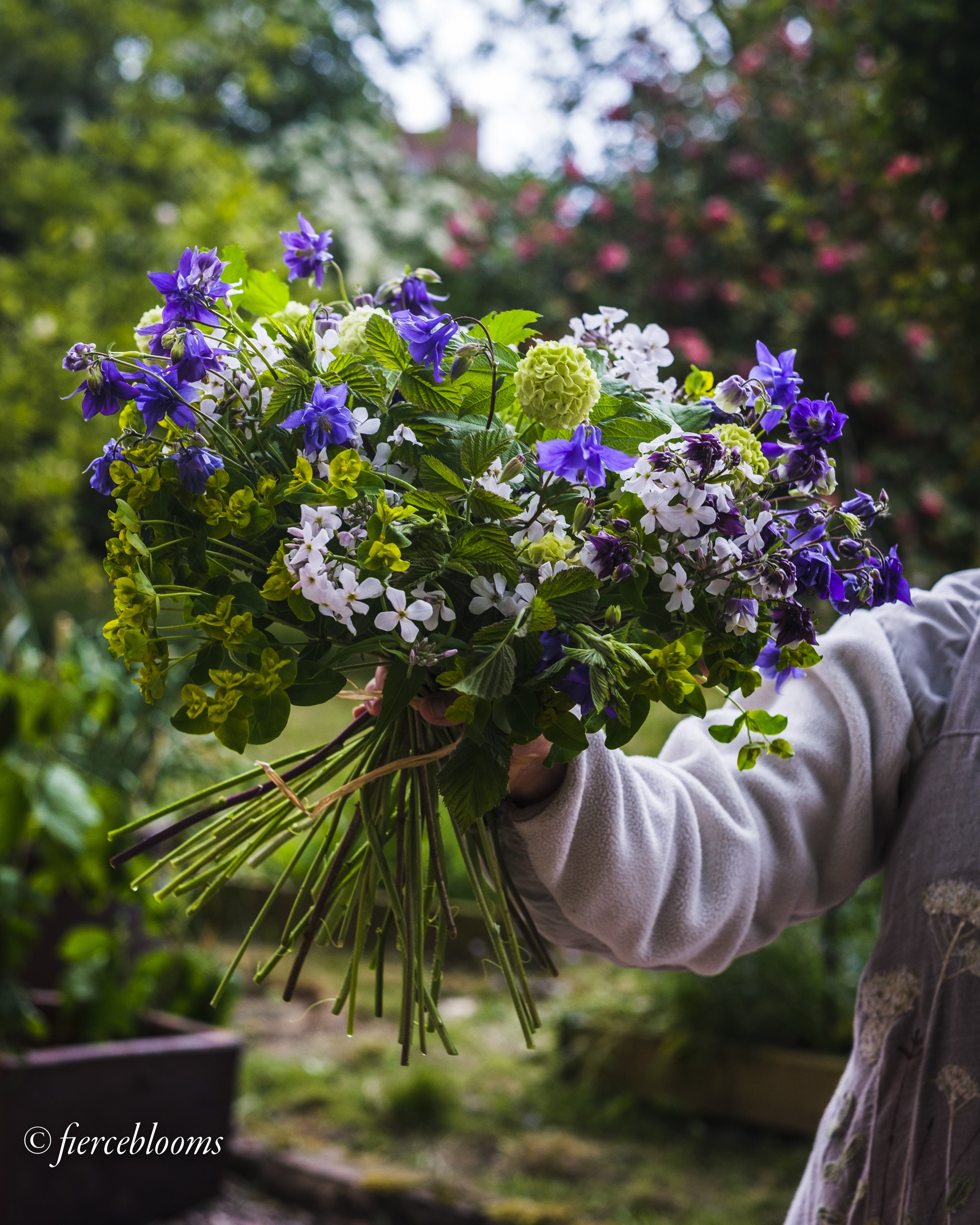 Flower Arranging Spring Bouquet Class Fierceblooms British Flowers