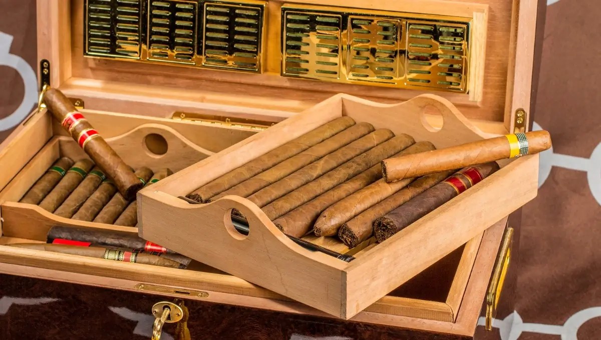 13 Best Outdoor Travel Humidor [2024] Buying Guide