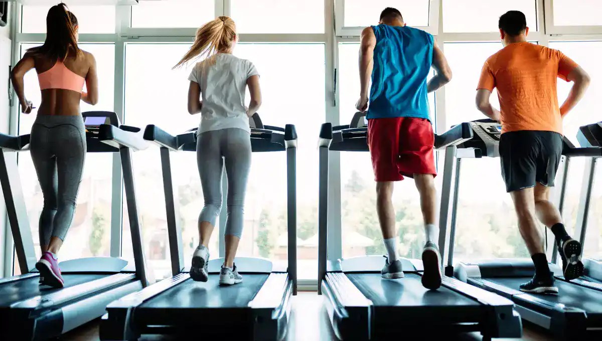 🏋️10 Incredible Gyms In NYC That Provide OneDay Passes,2024