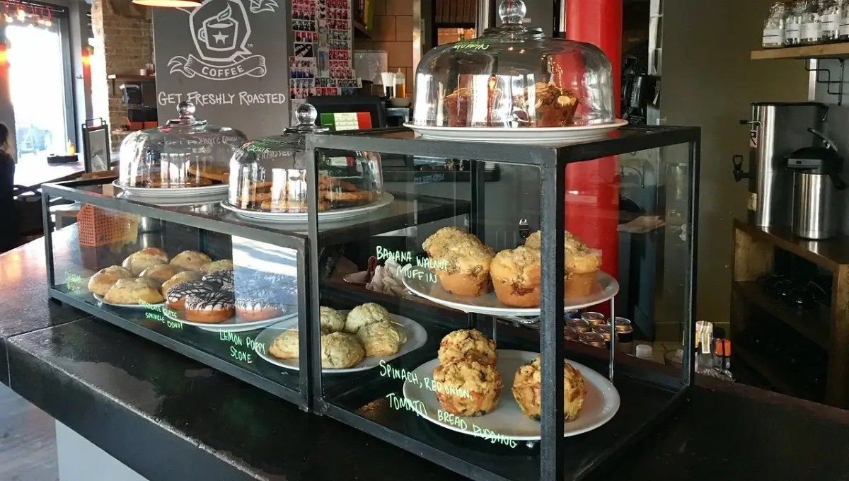 🌿11 Best Vegan Restaurants In Chicago, IL [2024]