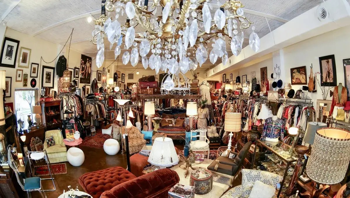 11 Best Thrift Stores In Miami, Florida [2024] Vintage Finds