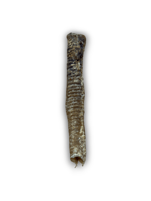 Anco Lamb Tube 1pc Fife Animal Feed