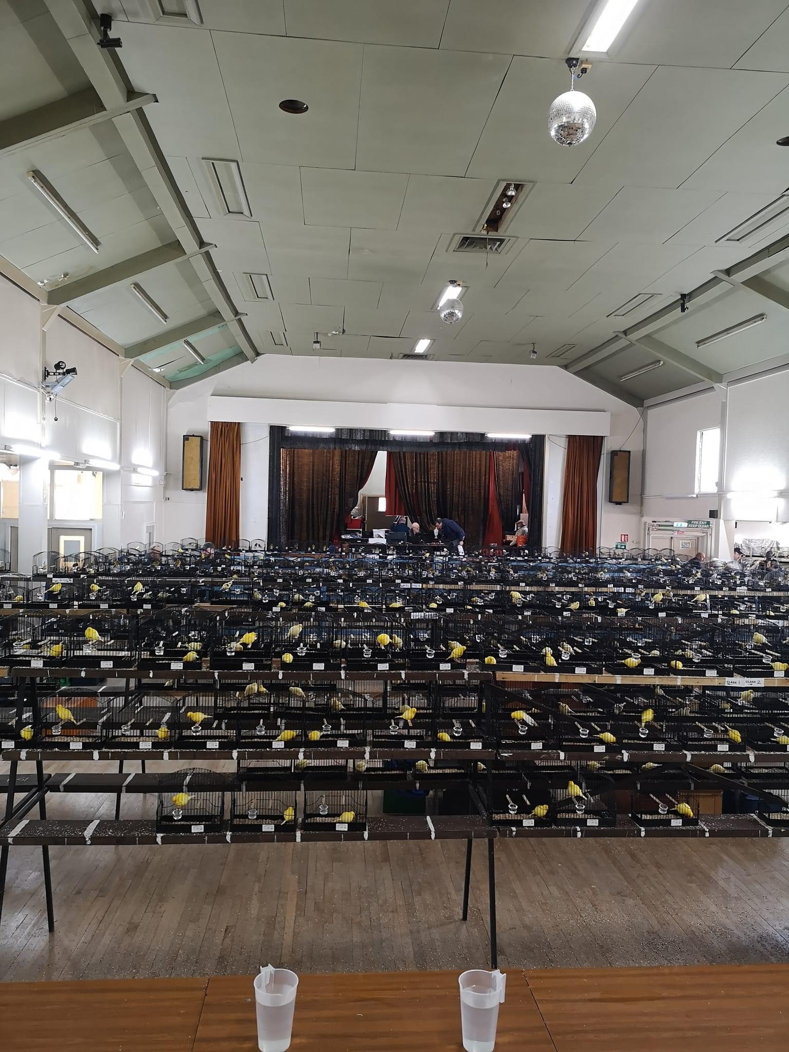 Gallery Fife Canary Council