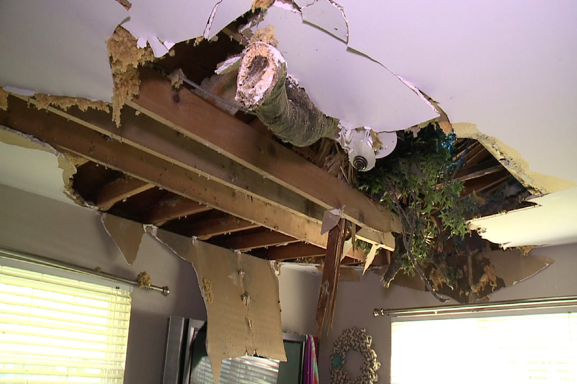 Plasterboard repair Fife Joinery Services