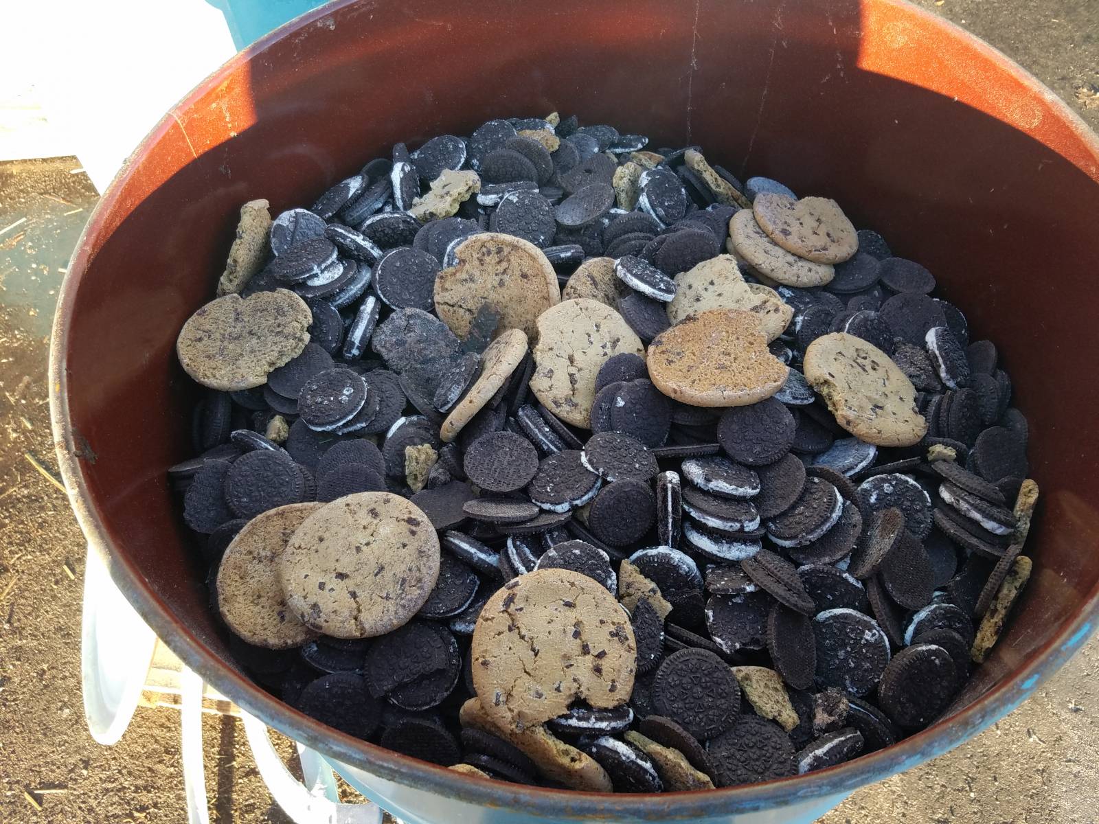 Bear Bait SeedNFeed Store