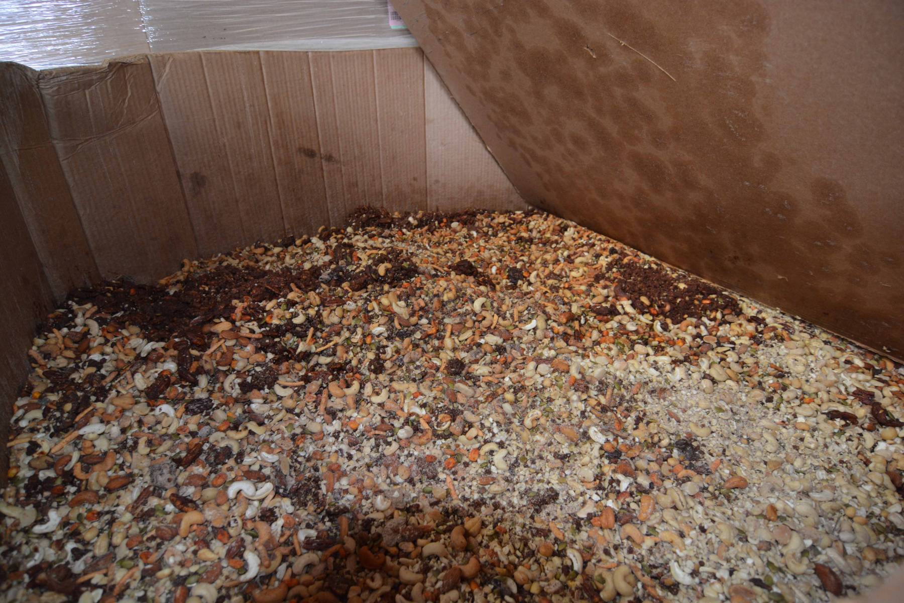 Bear Bait SeedNFeed Store