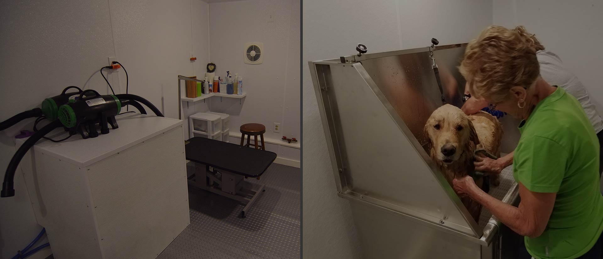 Fifield, Wisconsin SeedNFeed Store Pet Foods & Supplies