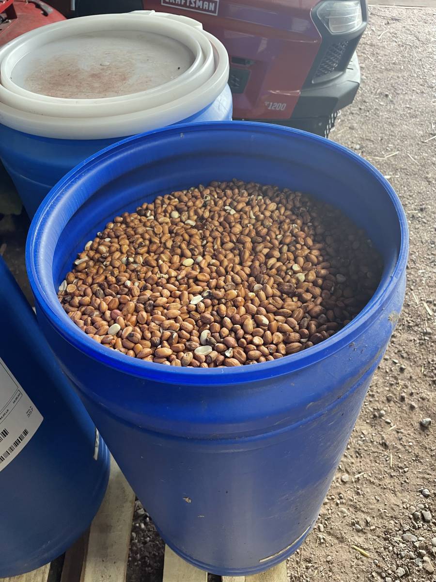 Northern Wisconsin Bear Bait for Sale Park Falls, WI