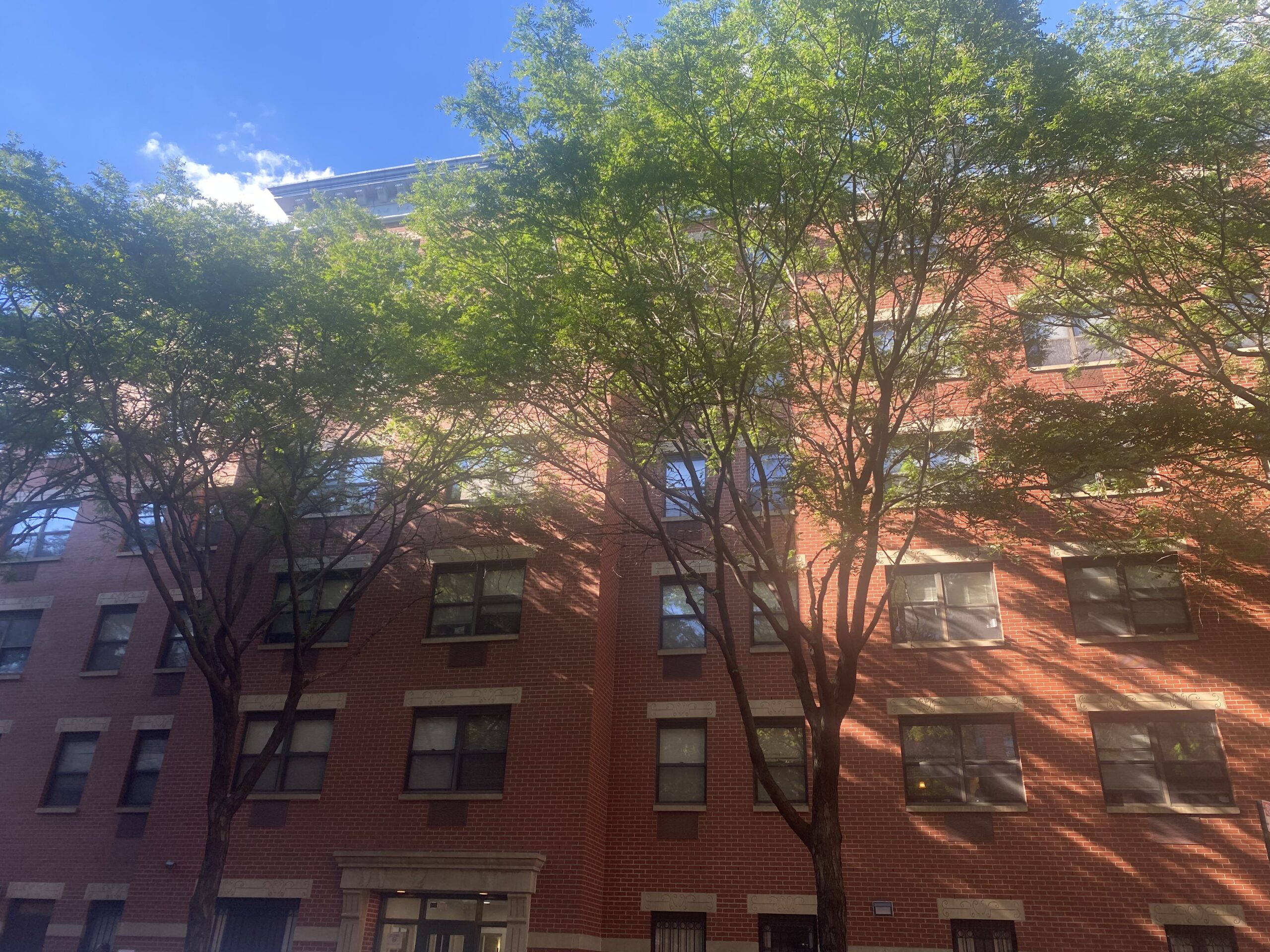 Warren Street Fifth Avenue Committee