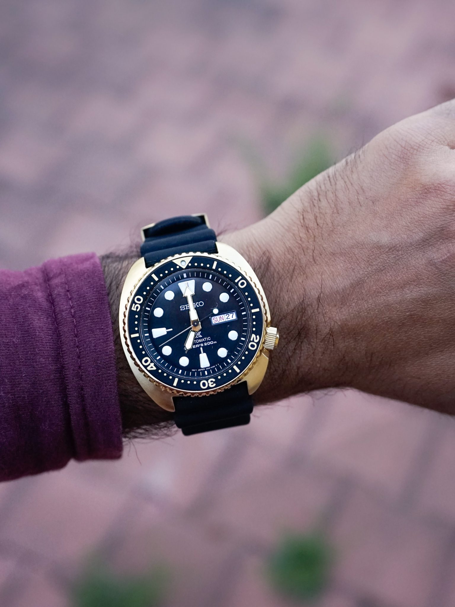 The Seiko SRPC44 Gold Turtle Fifth Wrist