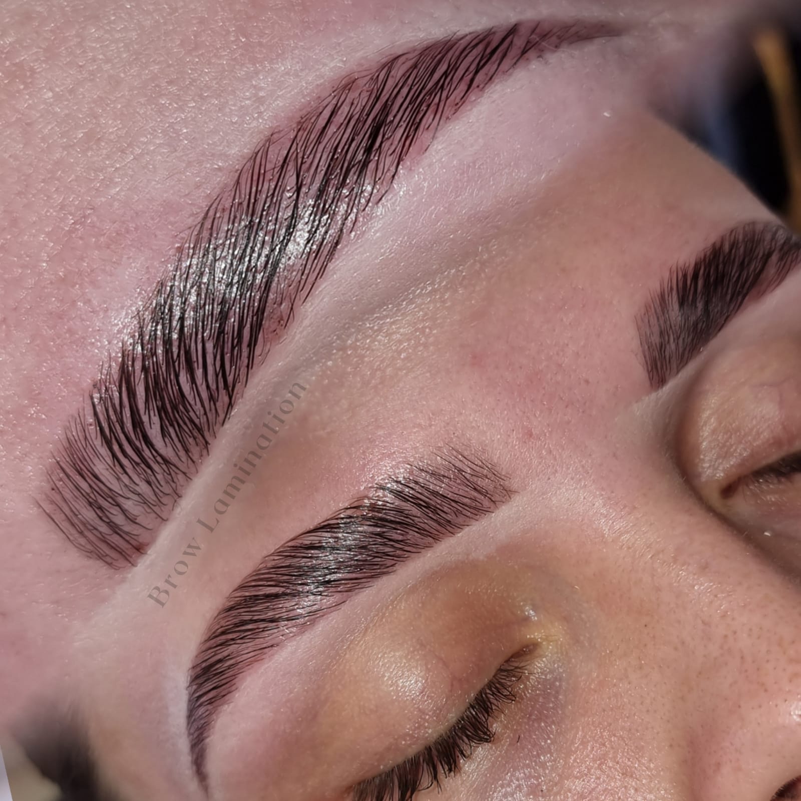 Brow Lamination Including Shaping & Tinting Ffty Shades Academy
