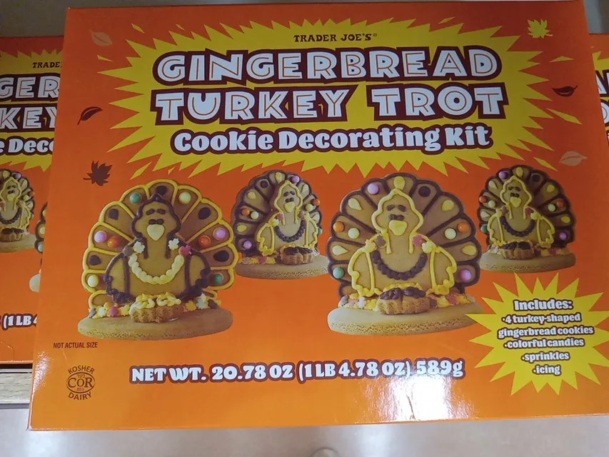 Trader Joe's Gingerbread Turkey Trot Cookie Decorating Kit