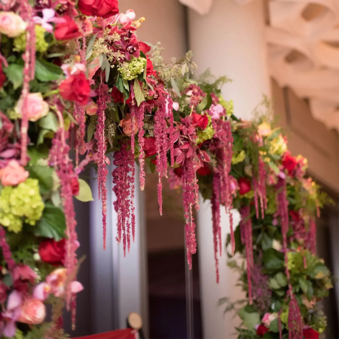 Amaranthus Facts Discover Its Wonders Fig & Bloom