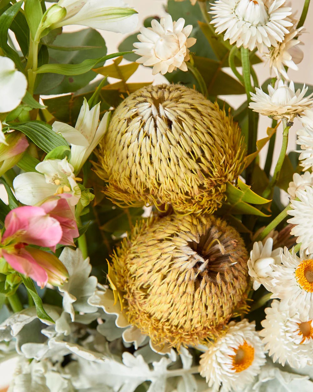 Kalgoorlie Fig & Bloom