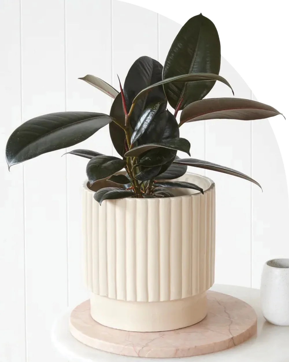 Flower Delivery Brisbane Best Florist Brisbane Fig & Bloom