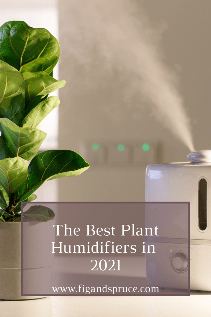 5 Best Plant Humidifier for Your Indoor Plants Fig & Spruce