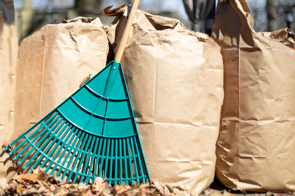 Best Bagged Compost for Vegetable Garden Fig & Spruce