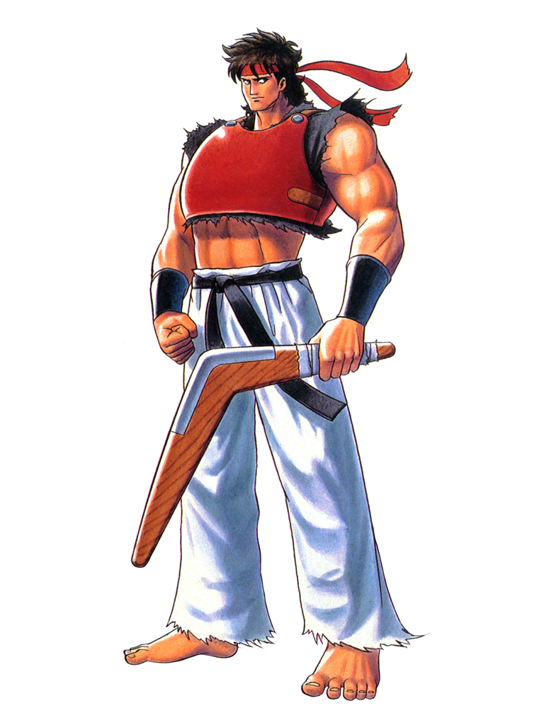 Hayate Street Fighter