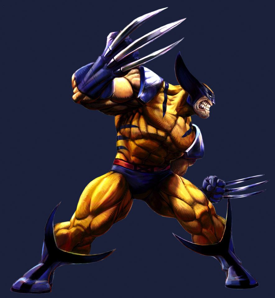Wolverine (Marvel Vs.