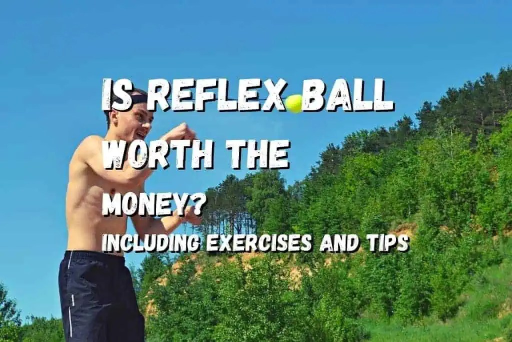 Are Reflex Balls Worth It? Including Exercises and Tips Fighting Advice