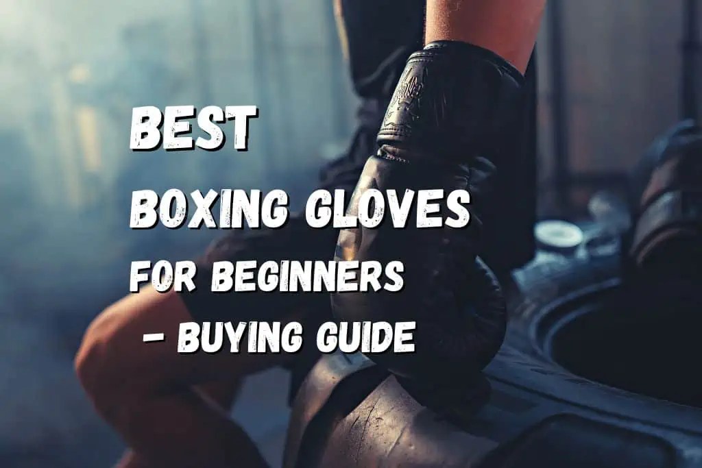 15 Best Boxing Gloves for Beginners in 2023 Buying Guide Fighting