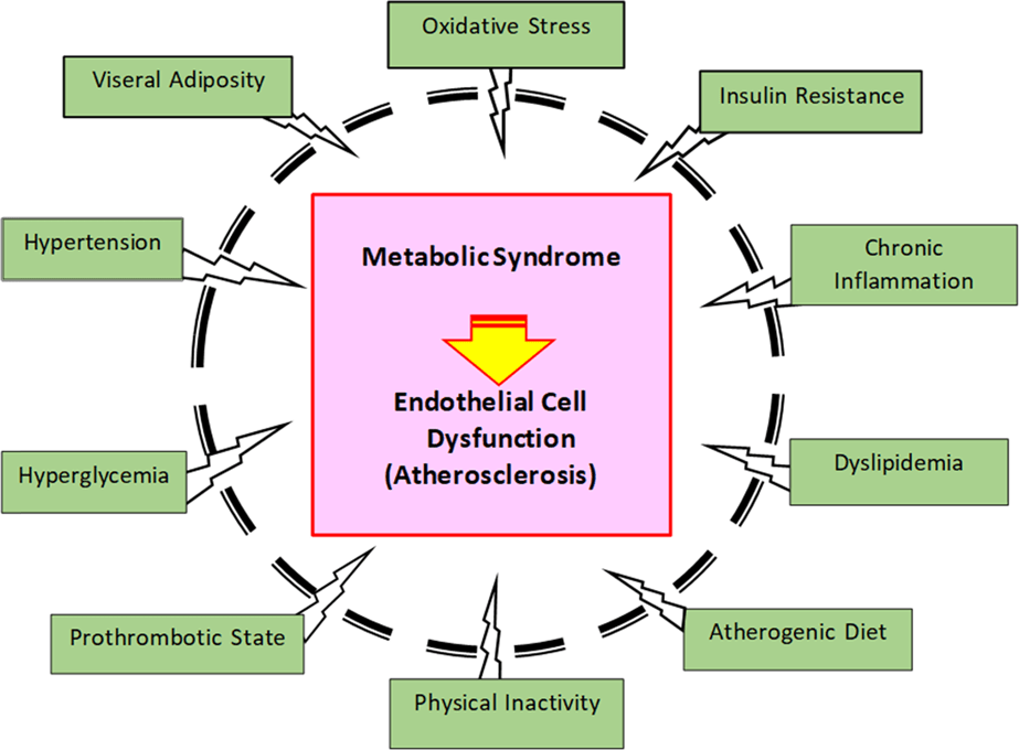 Possible MS Causes Fightmsdaily