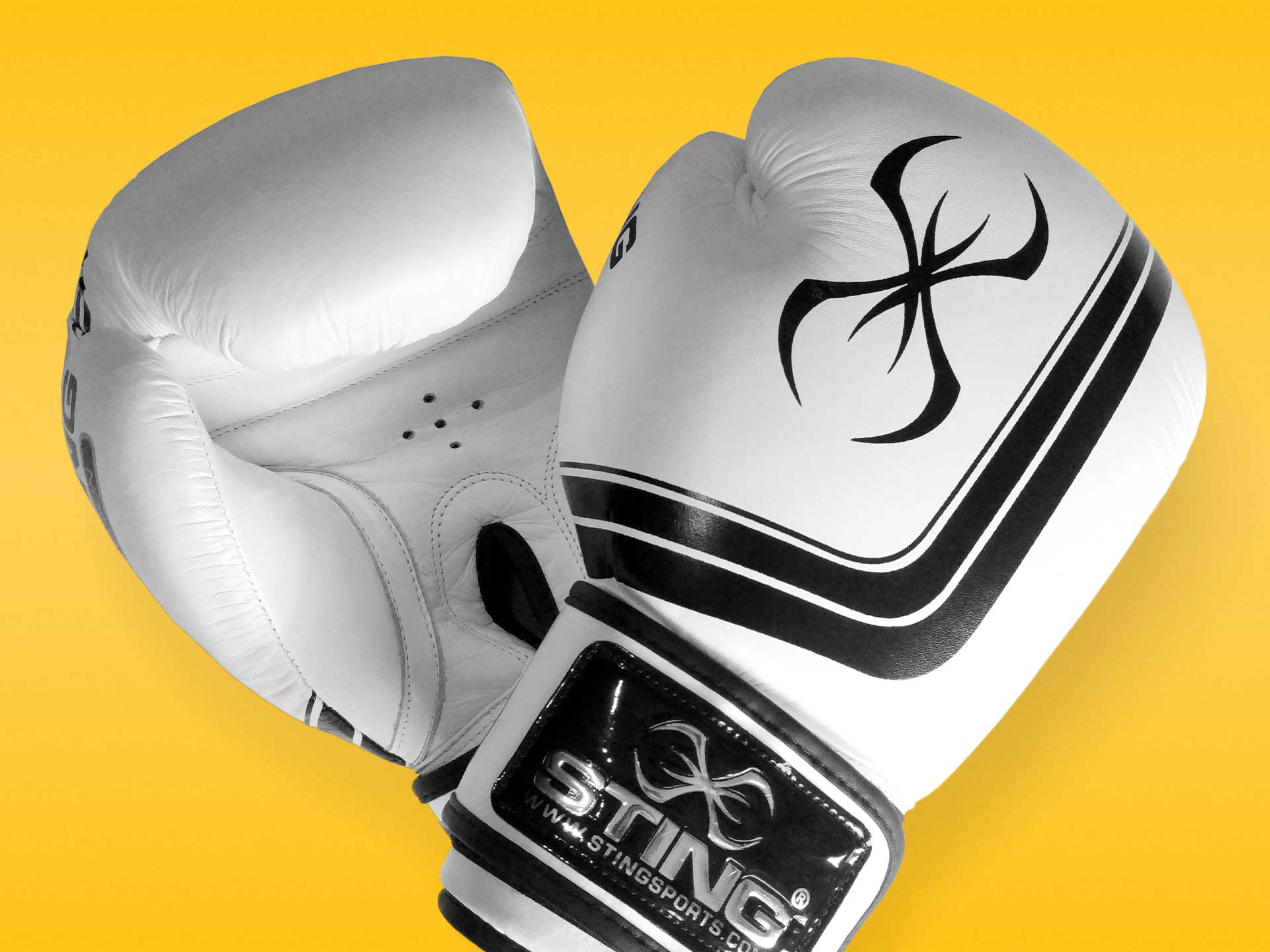 Sting Orion Competition Premium Boxing Gloves Review Fight Quality