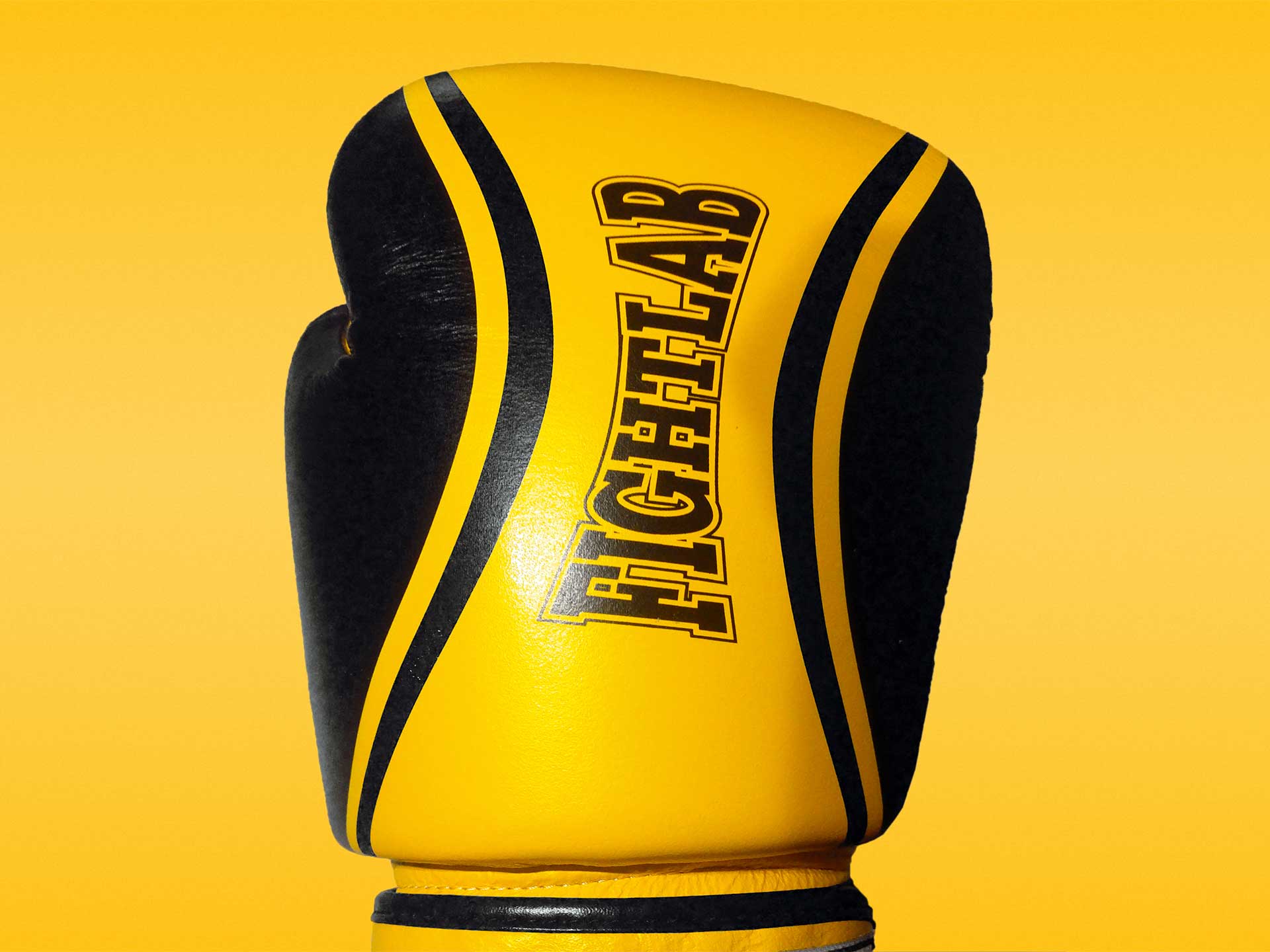 Fightlab Flo Muay Thai Boxing Gloves Review - Fight Quality