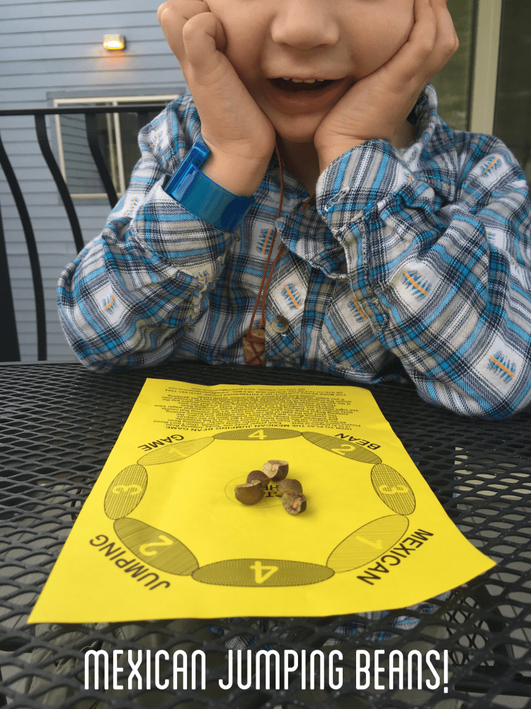 Mexican Jumping Beans Figment Creative Labs