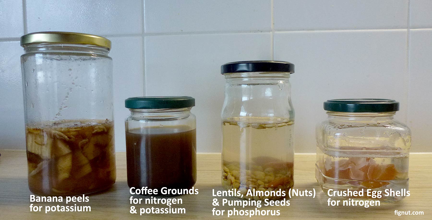 Homemade Rooting Hormone (with Photos & Video) FigNut