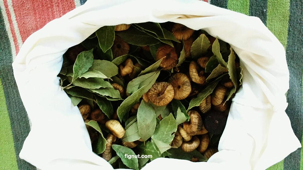 How to Store Dried Figs at Home FigNut