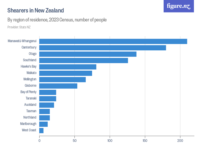 Shearers in New Zealand Figure.NZ