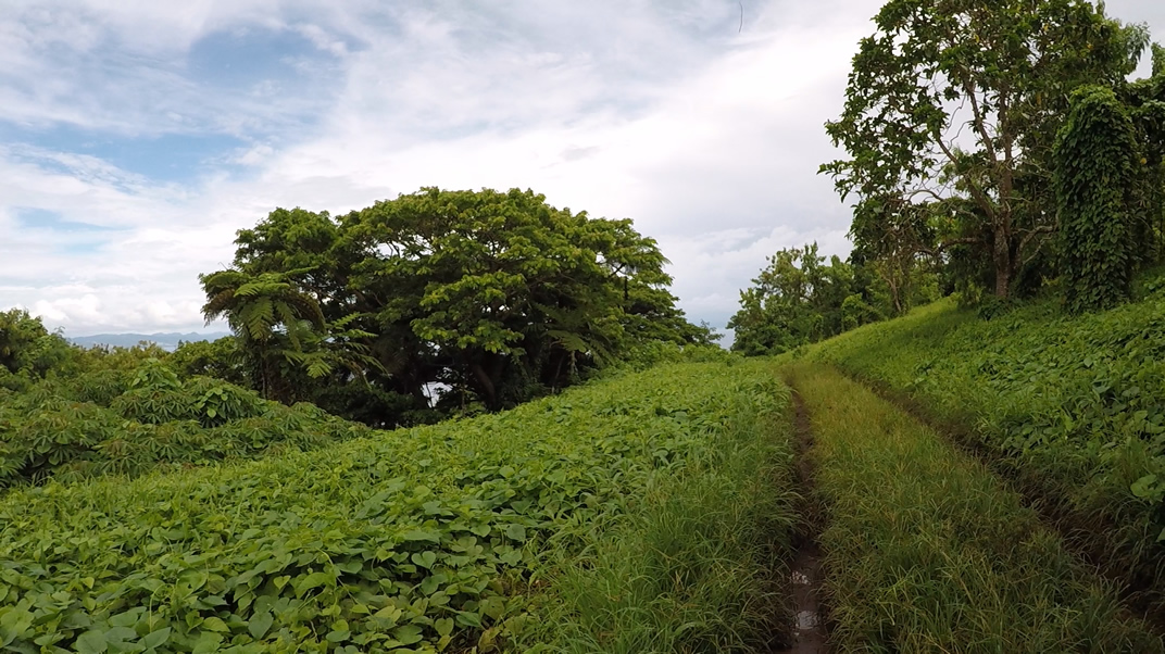 Taveuni Freehold Property for Sale
