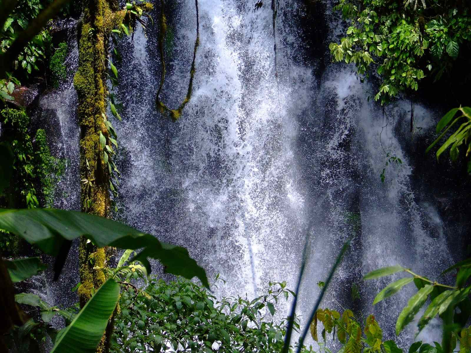 10 Wonderful Waterfalls in Fiji The Best Fiji Waterfalls Fiji Pocket