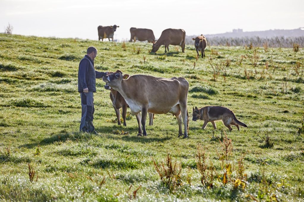 Denmark a dairy country. Learn more about the host of the IDF Global