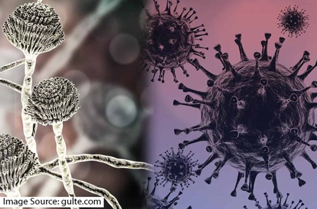 White yellow fungus and aspergillosis