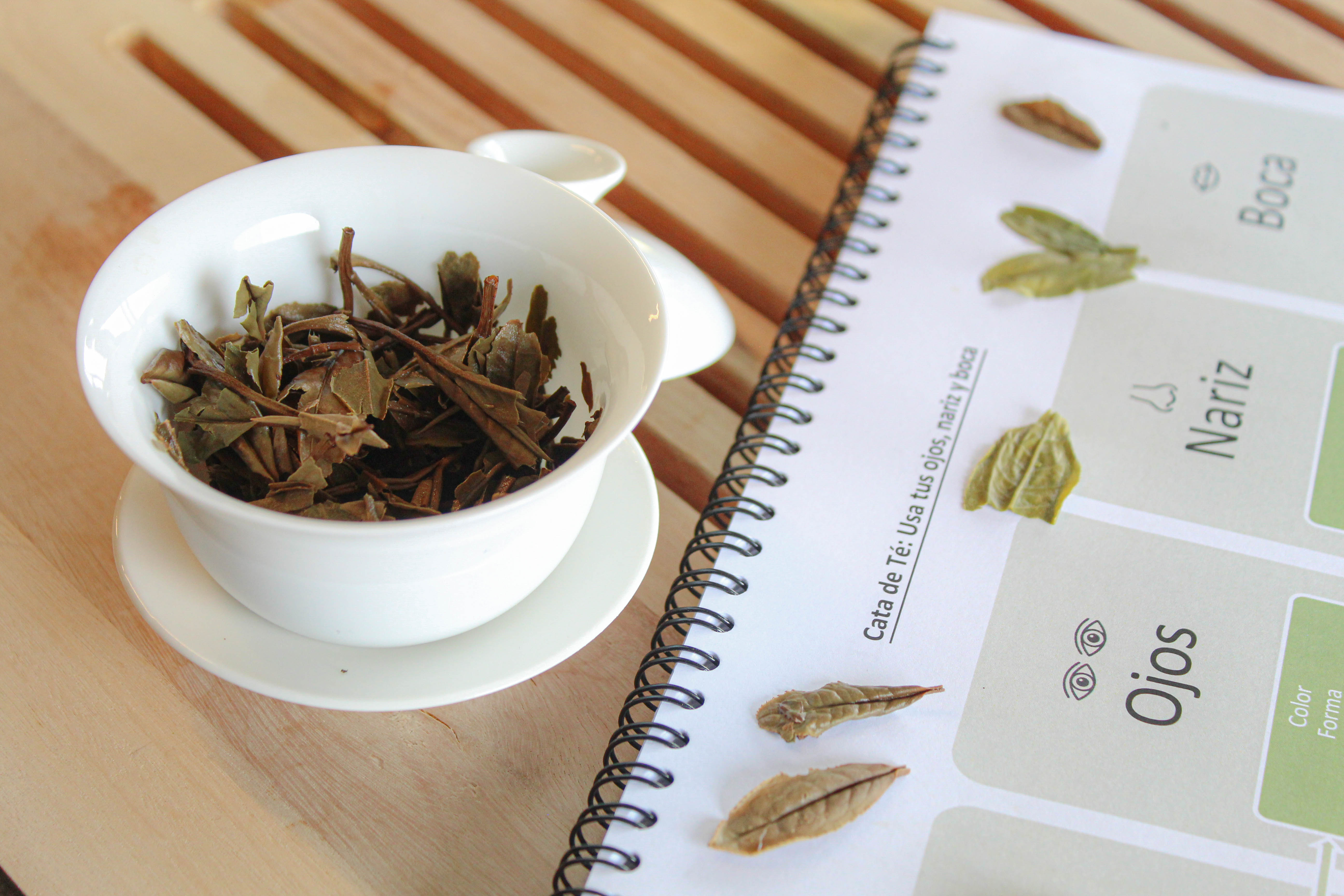 Tea Fundamentals 20 Hr Tea Drunk Academy