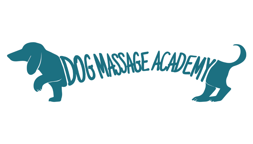 Homepage Dog Massage Academy