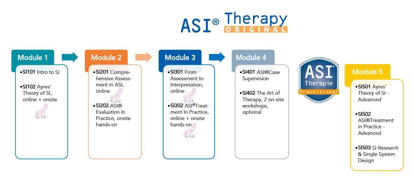 SI102 Ayres' Theory of Sensory Integration SISeminarInstitut in