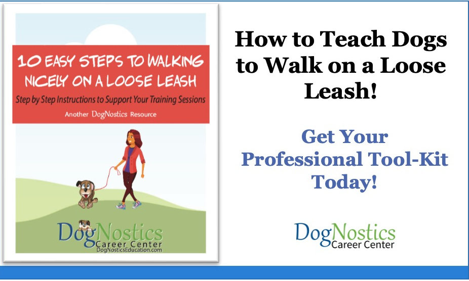 10Steps to Walking Nicely on a Loose Leash Your Professional