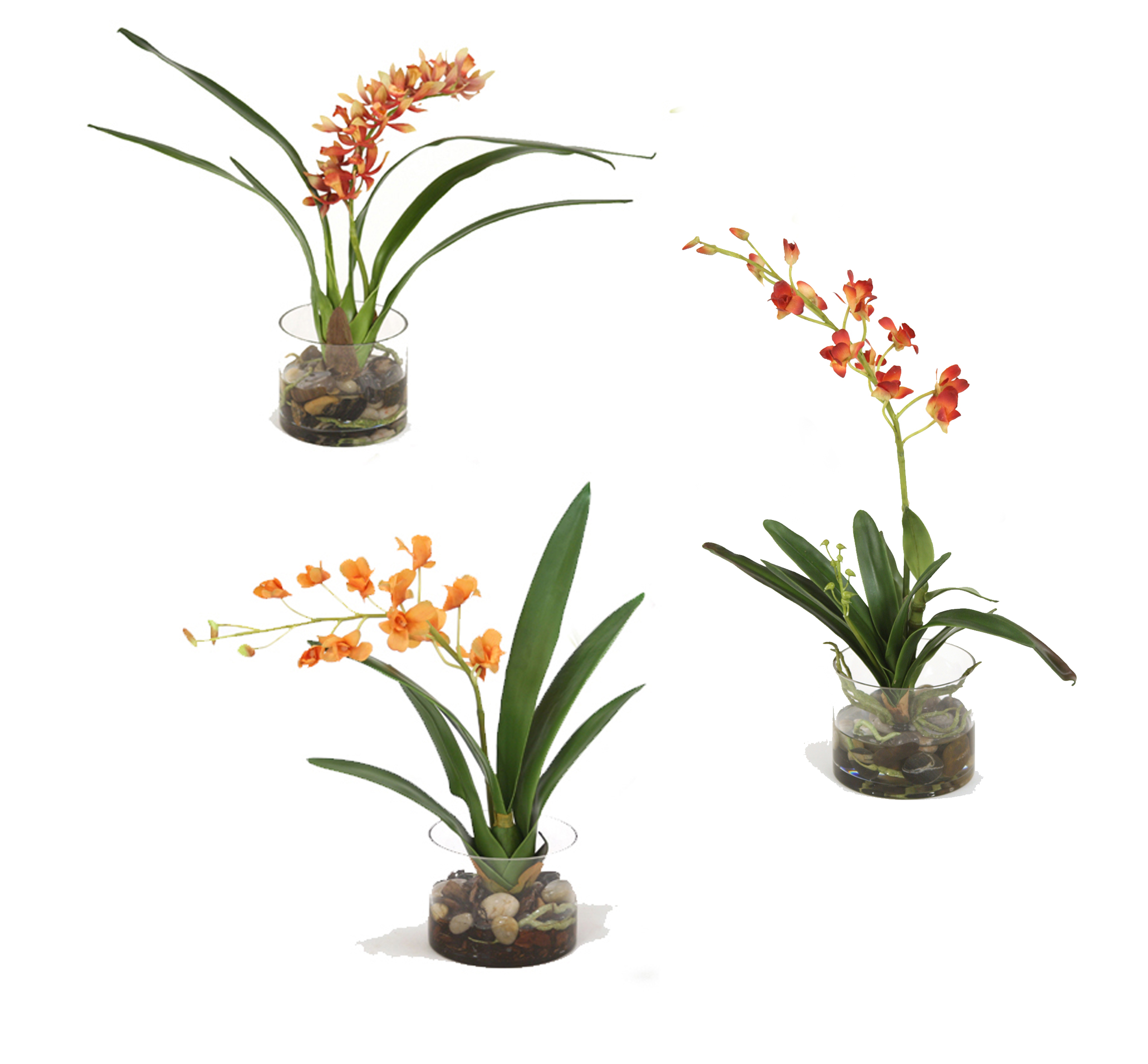 Assorted Silk Orchid Plants, Each in Glass Cylinder (Pack of 3) Free
