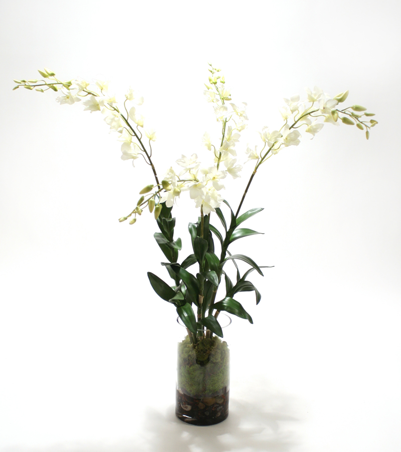 Waterlook ® Silk White Dendrobium Orchid Plant with Moss in a Glass